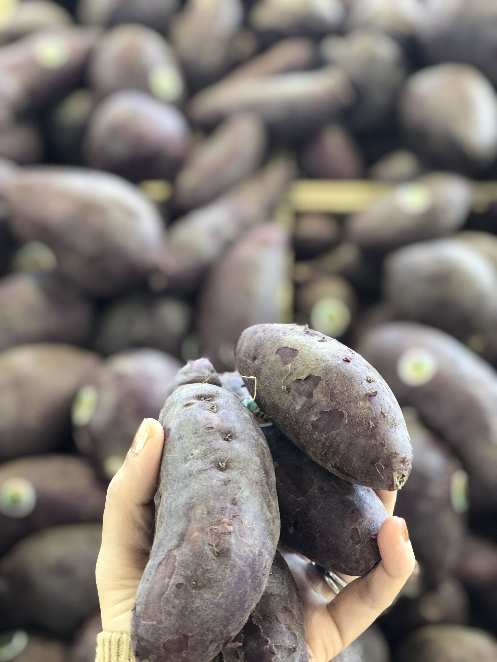 Apple iPhone X sample photo. Sweet potatoes, purple yams photography