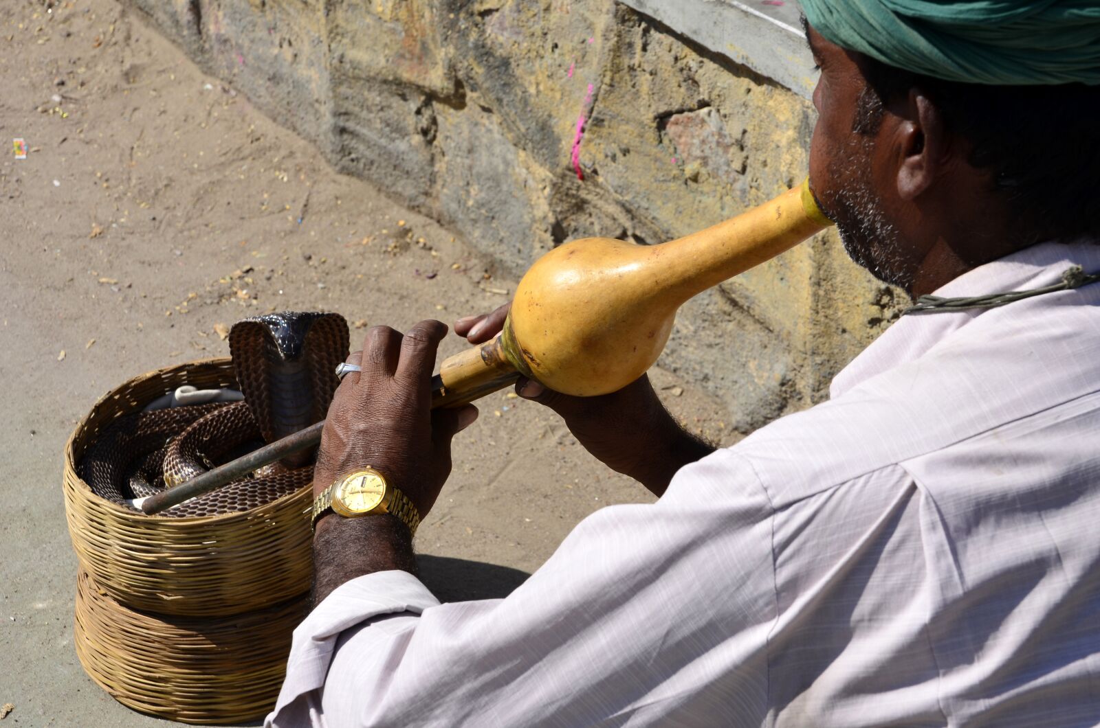 Nikon D5100 sample photo. Jaipur, india, snake photography
