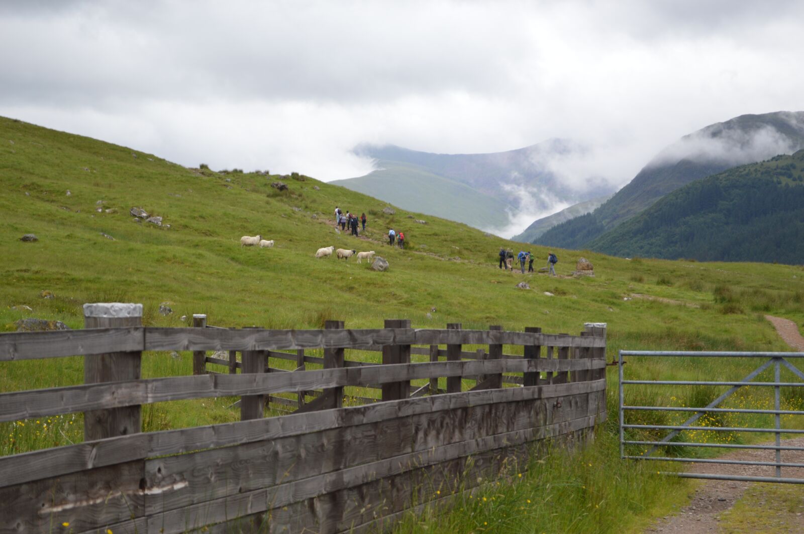 Nikon D3200 sample photo. Vista, green, hills photography