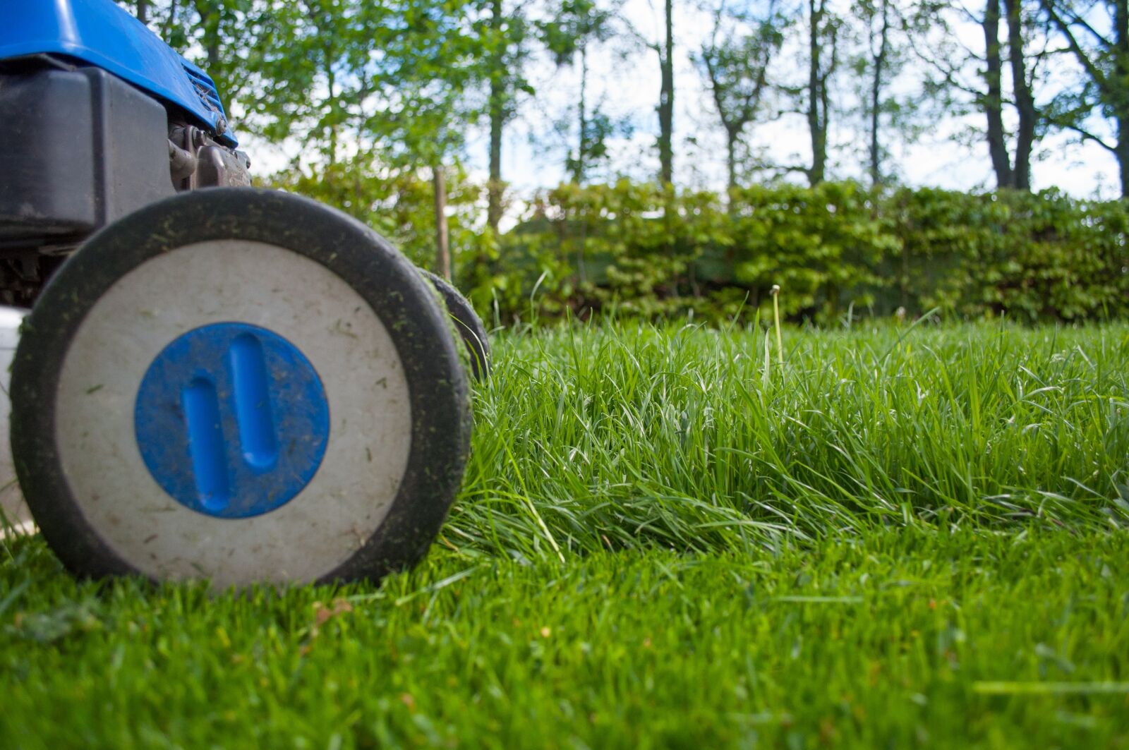 Nikon D5000 sample photo. Lawnmower, gardening, lawn-mower photography