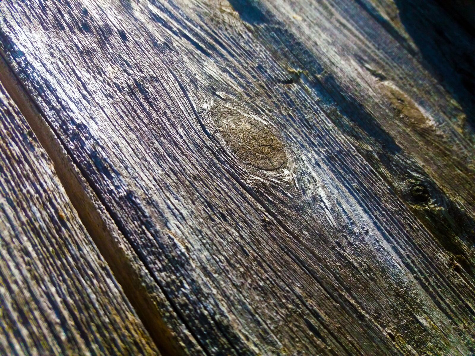 Samsung Galaxy J5 sample photo. Wood, fiber, dry photography