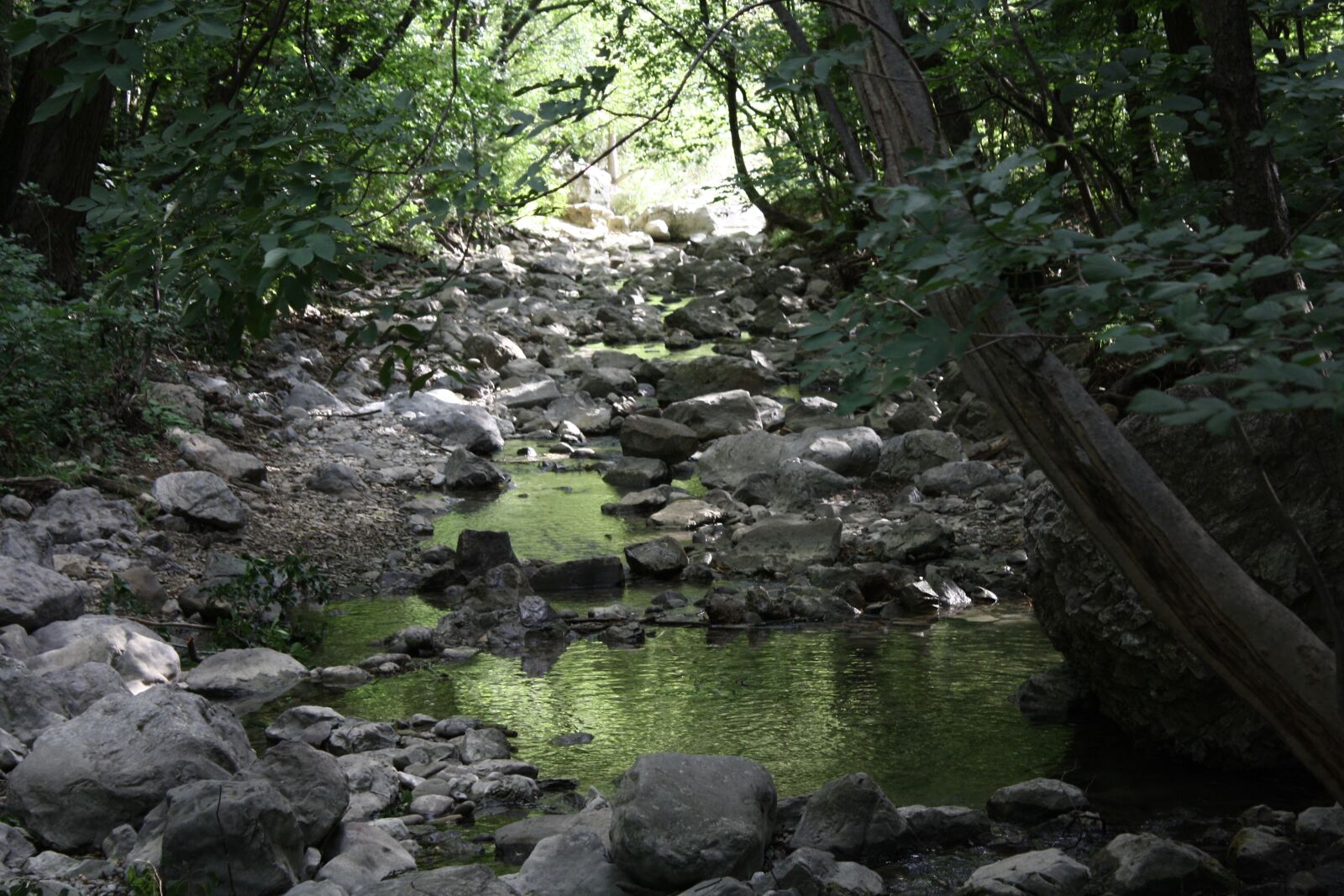 Canon EOS 1000D (EOS Digital Rebel XS / EOS Kiss F) sample photo. Water, rock, trees photography