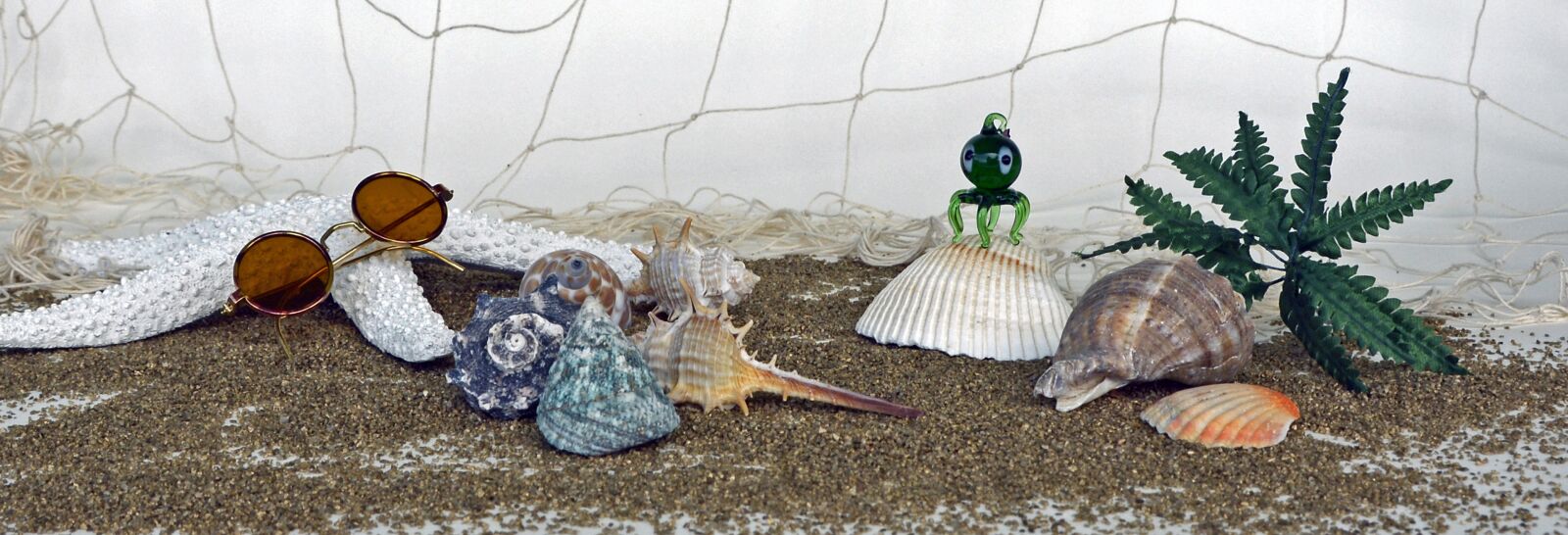 Nikon D7100 sample photo. Sand, sunglasses, squid photography