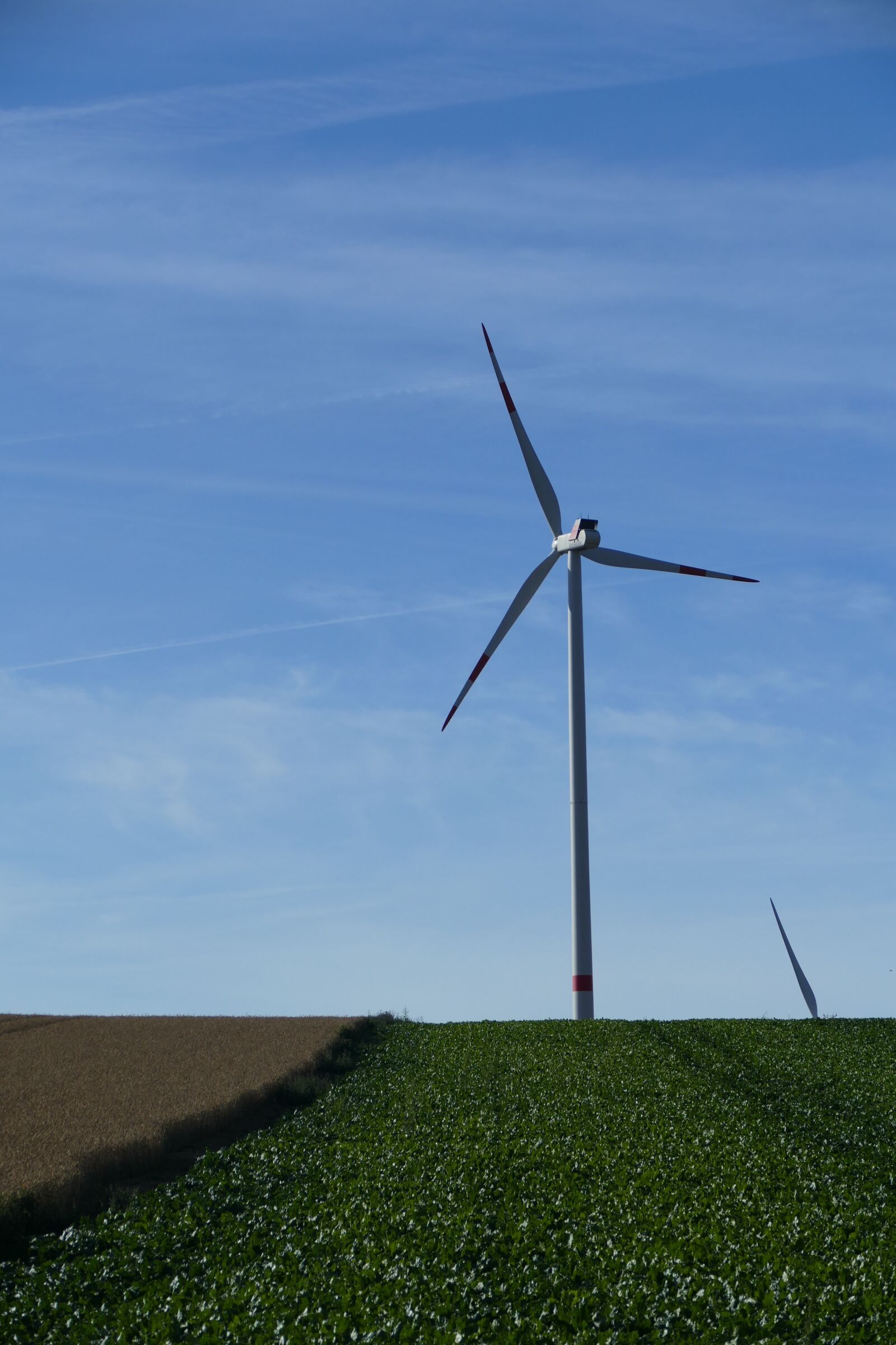 Panasonic Lumix DMC-FZ1000 sample photo. Nature, vision, wind turbines photography