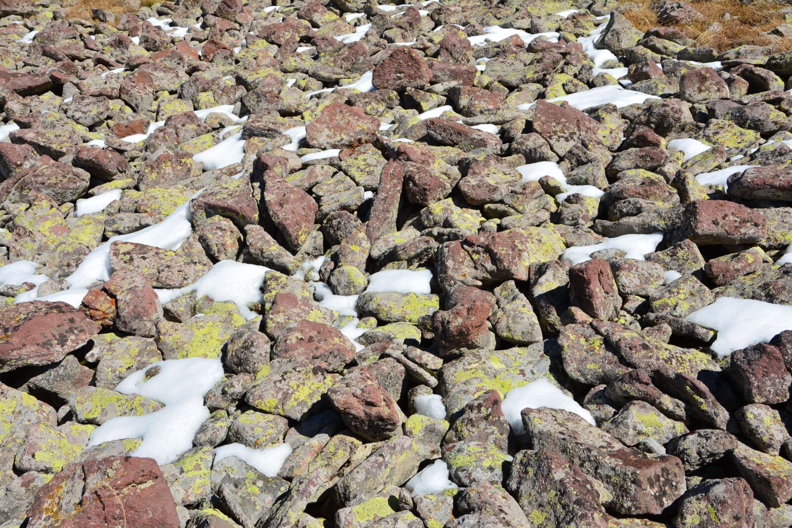 Nikon D7100 sample photo. Kennedy, stone, texture photography