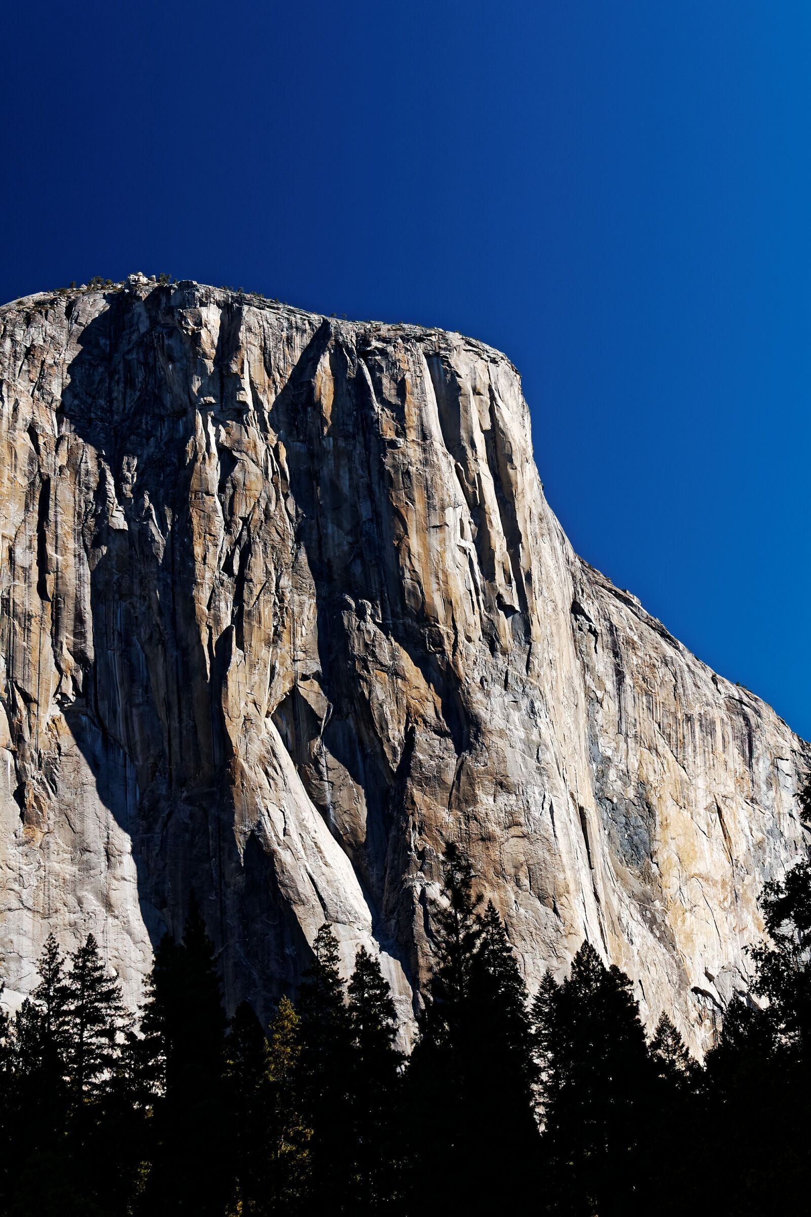 Nikon D50 sample photo. El capitan, california, national photography