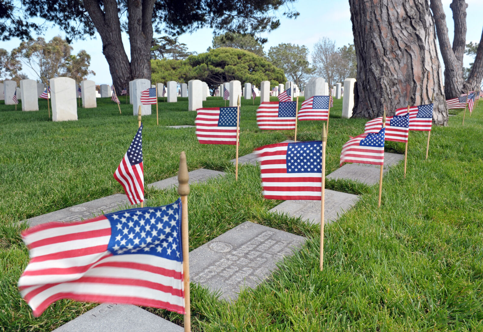 Nikon D700 sample photo. American, flag, graveyard, memorial photography