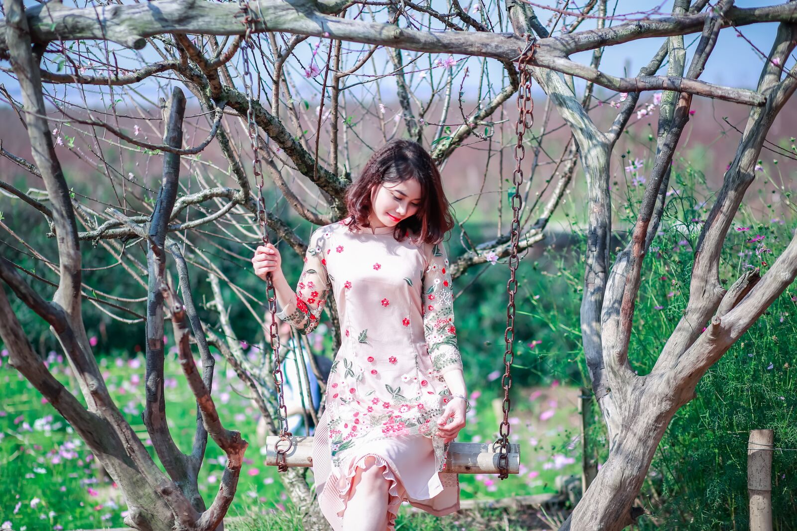 Canon EF 85mm F1.8 USM sample photo. Nature, tree, outdoors photography
