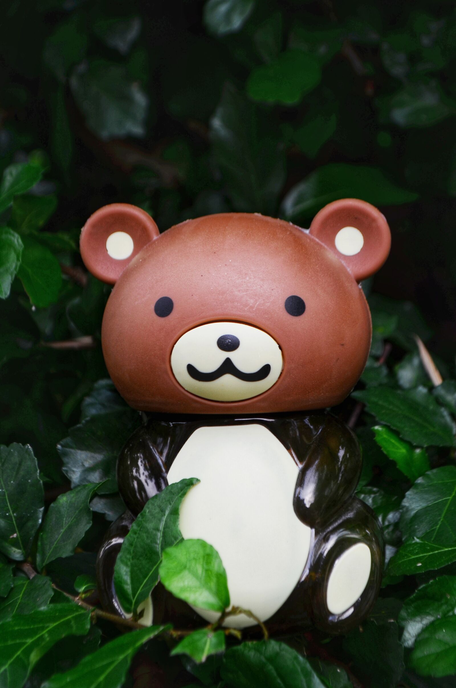 Nikon D5100 sample photo. Animal, portrait, bear, bush photography