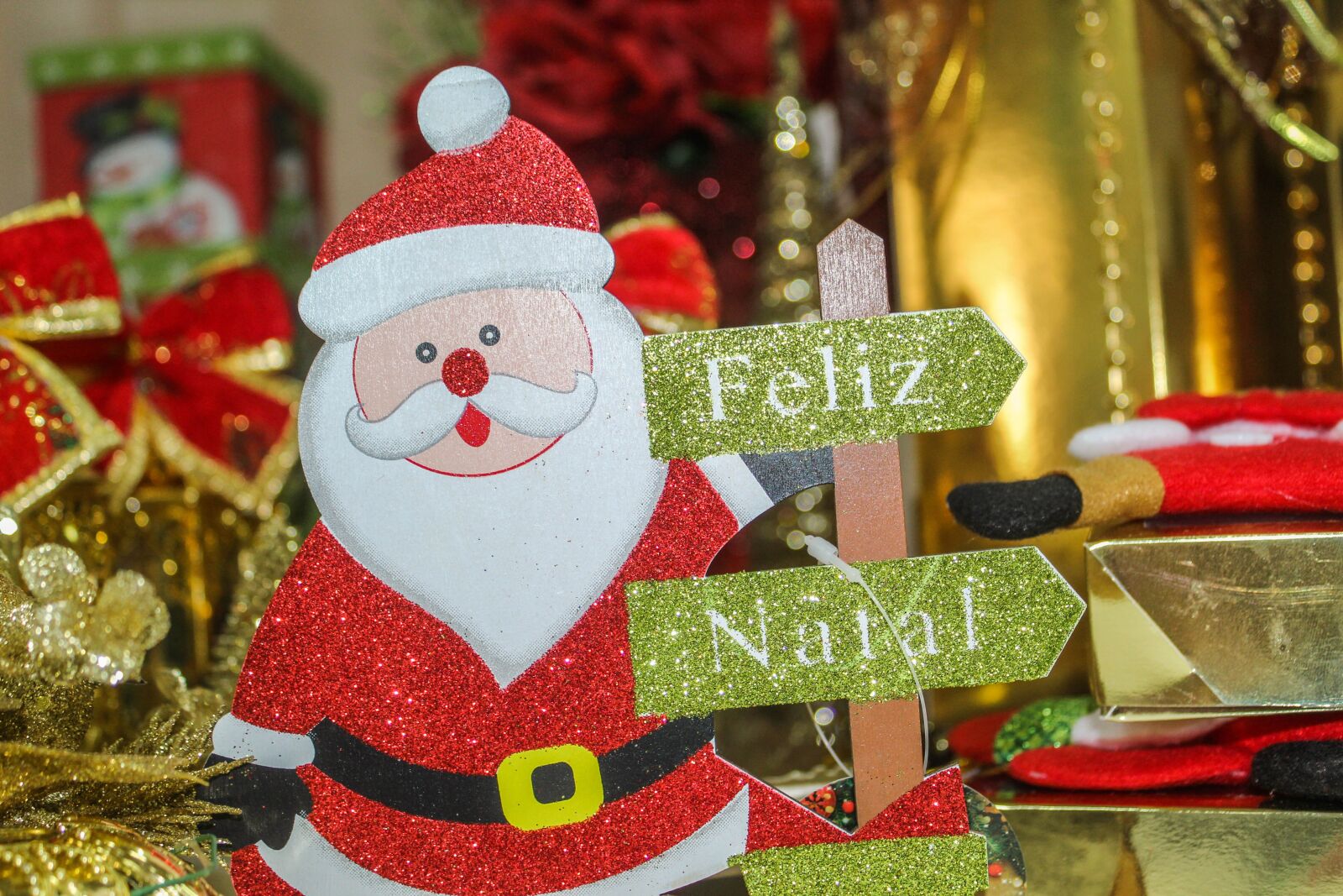 Canon EOS 1300D (EOS Rebel T6 / EOS Kiss X80) sample photo. Christmas, santa claus, decoration photography