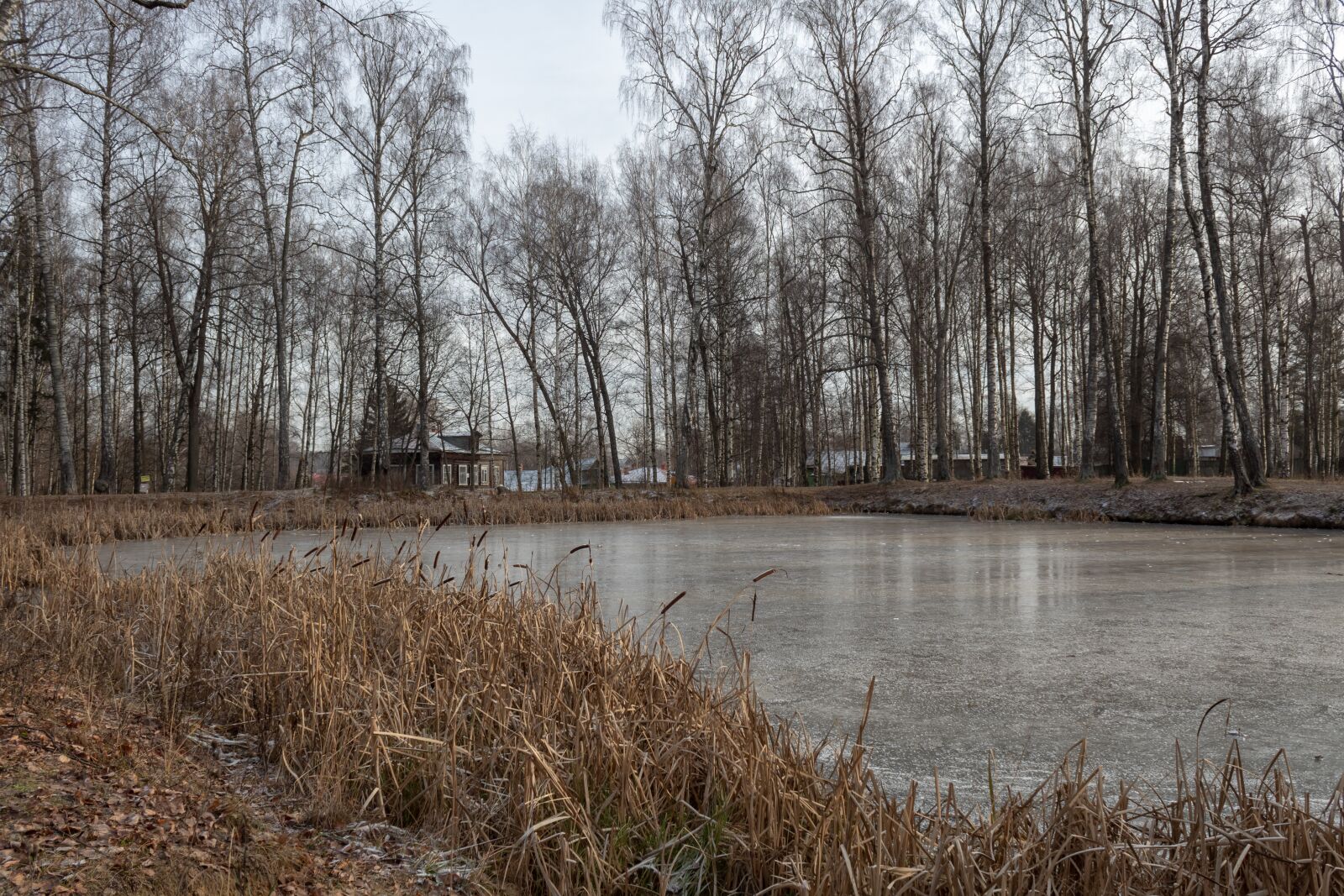 Canon EOS 1300D (EOS Rebel T6 / EOS Kiss X80) sample photo. Pond, winter, trees photography
