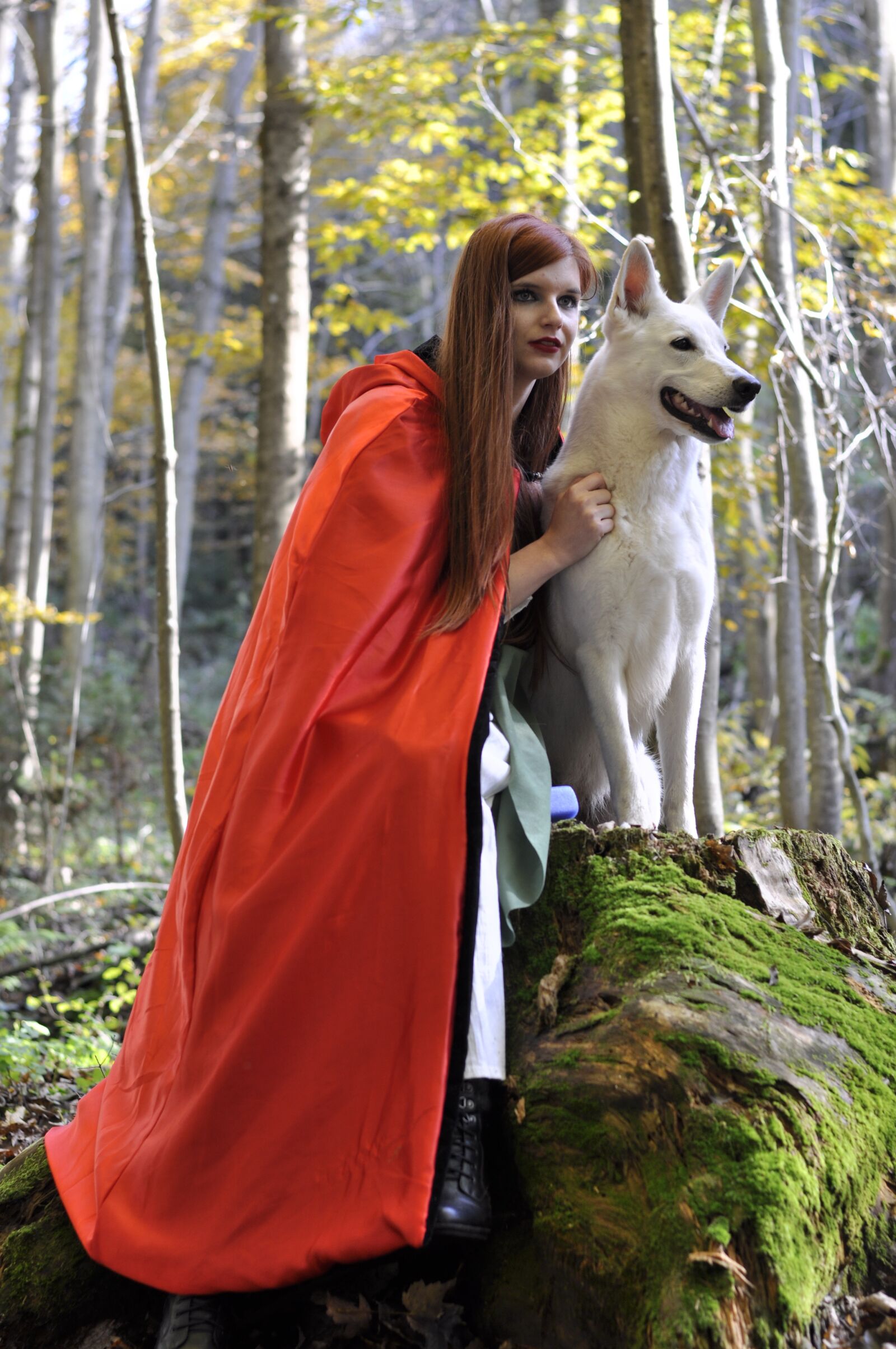Nikon D90 sample photo. Dog, forest, scenic photography