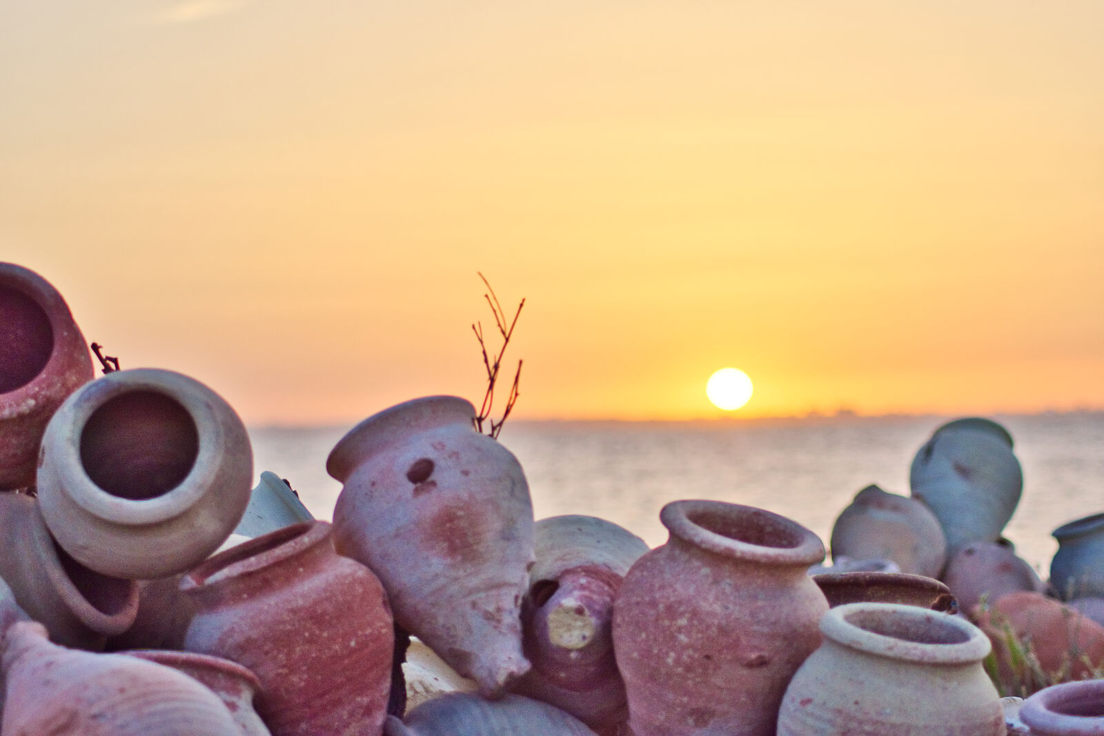 Nikon D5500 sample photo. Fish, stuff, sea, traditional photography