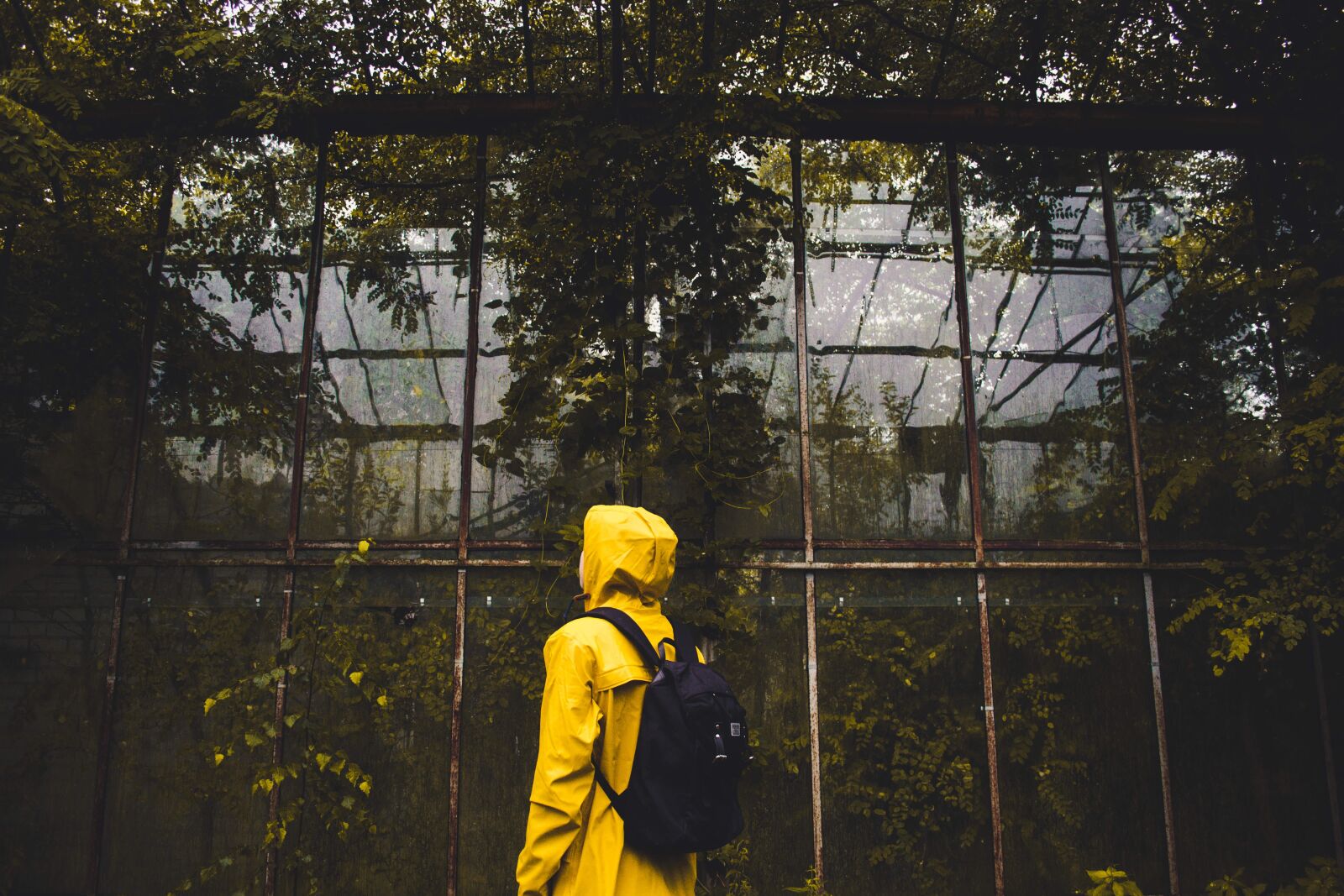 Nikon D3100 sample photo. Adult, backpack, color photography
