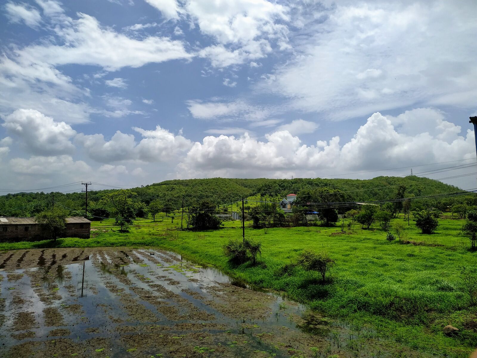 Xiaomi Redmi Note 6 Pro sample photo. Nature, bhiwandi, natural beauty photography