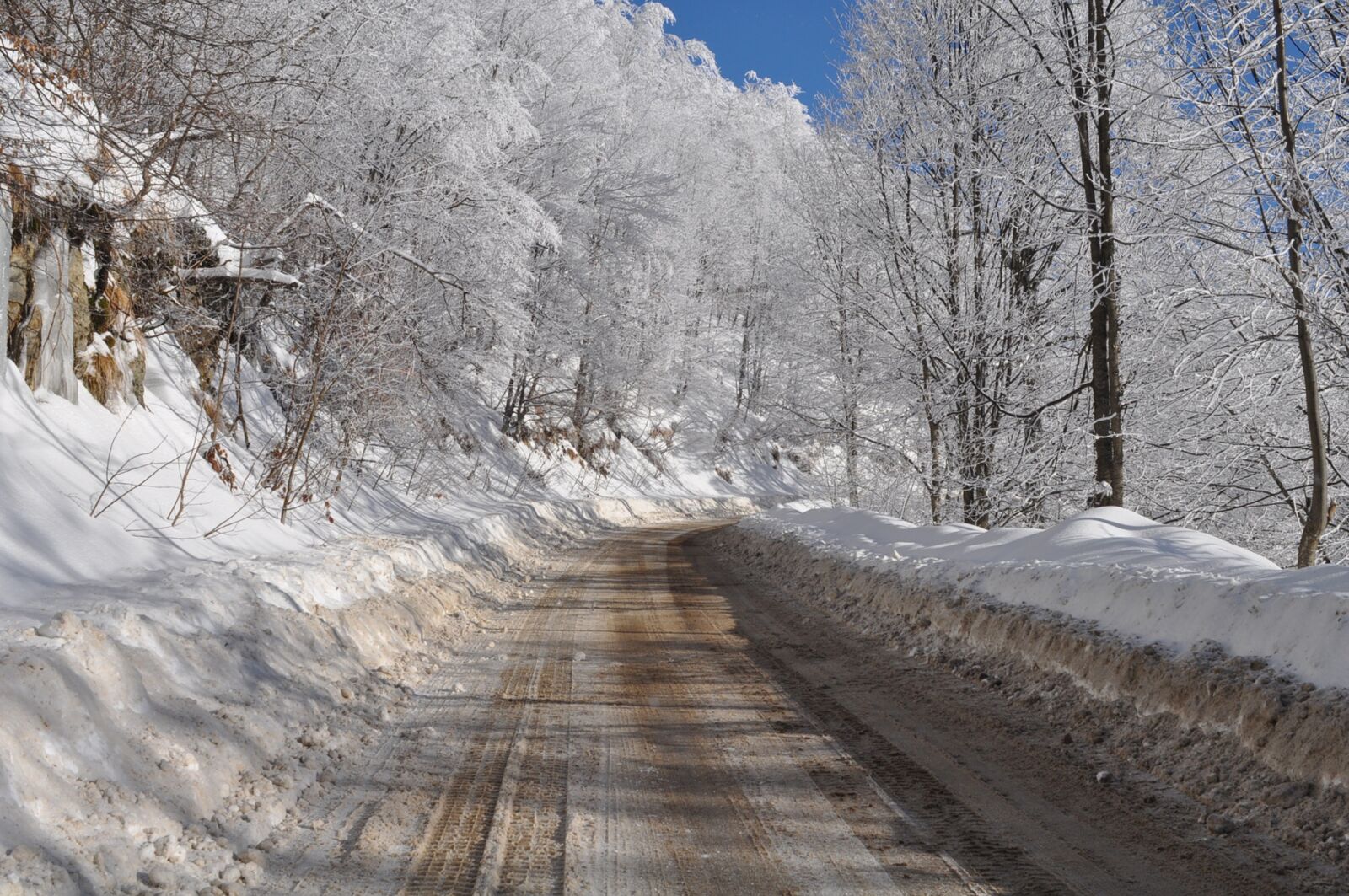 Nikon D90 sample photo. Winter, snow, nature photography