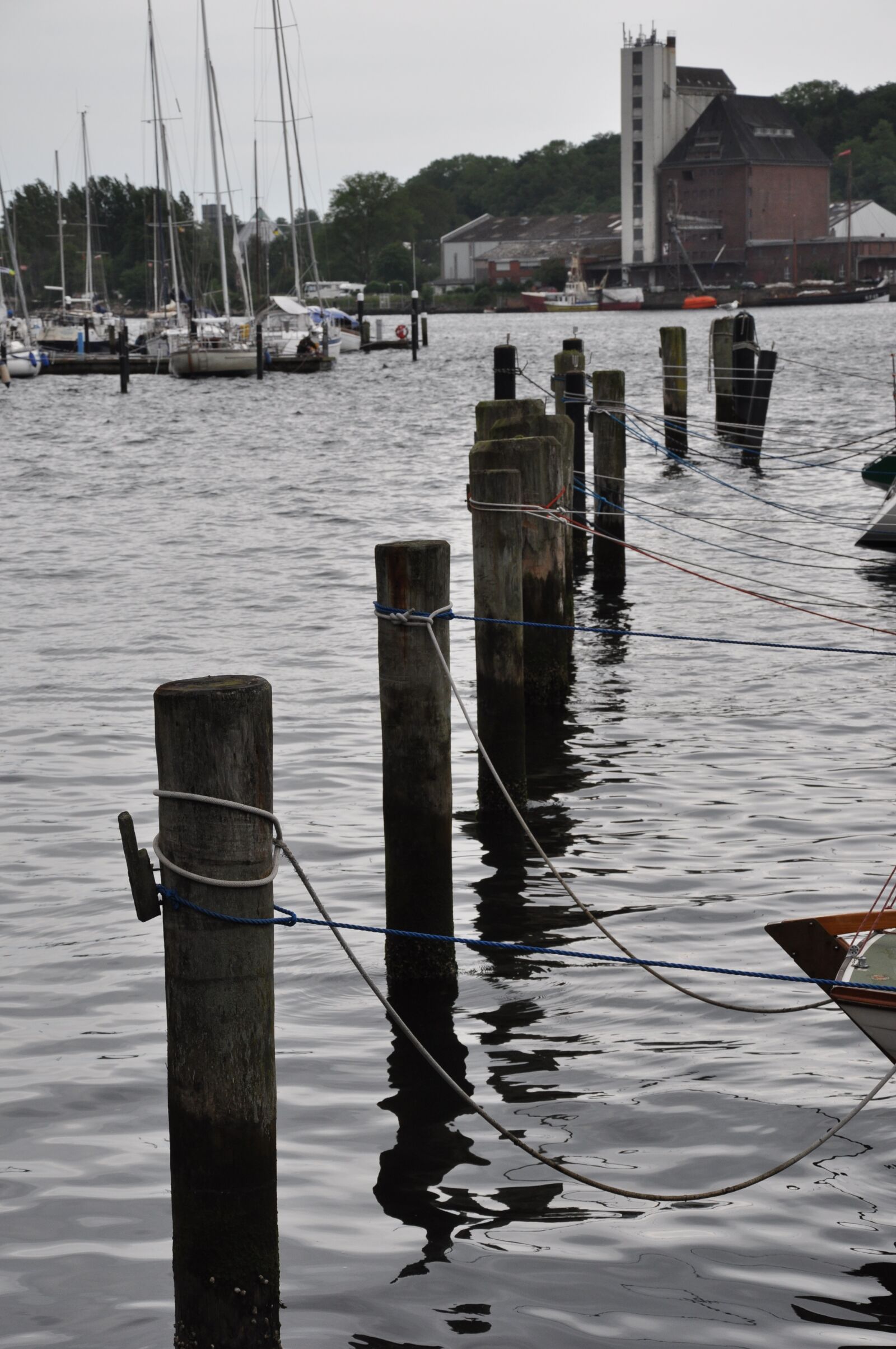Nikon D90 sample photo. Port, wooden posts, pile photography