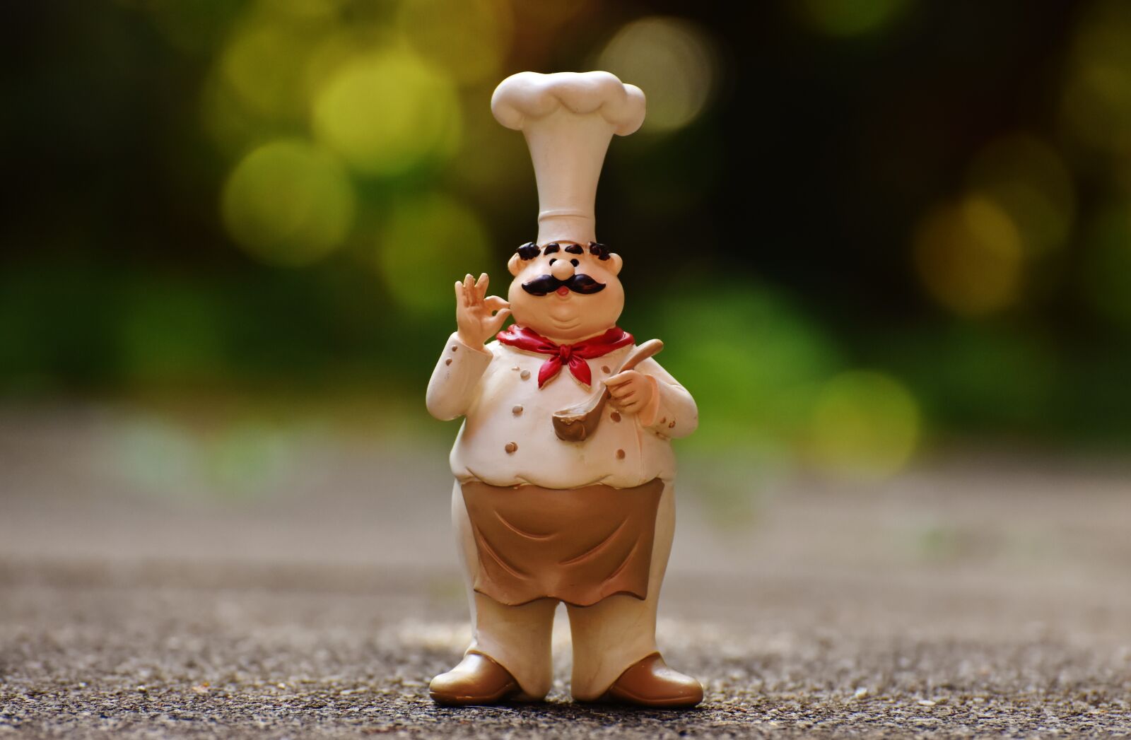 Nikon D7200 sample photo. Chefs, figures, funny photography