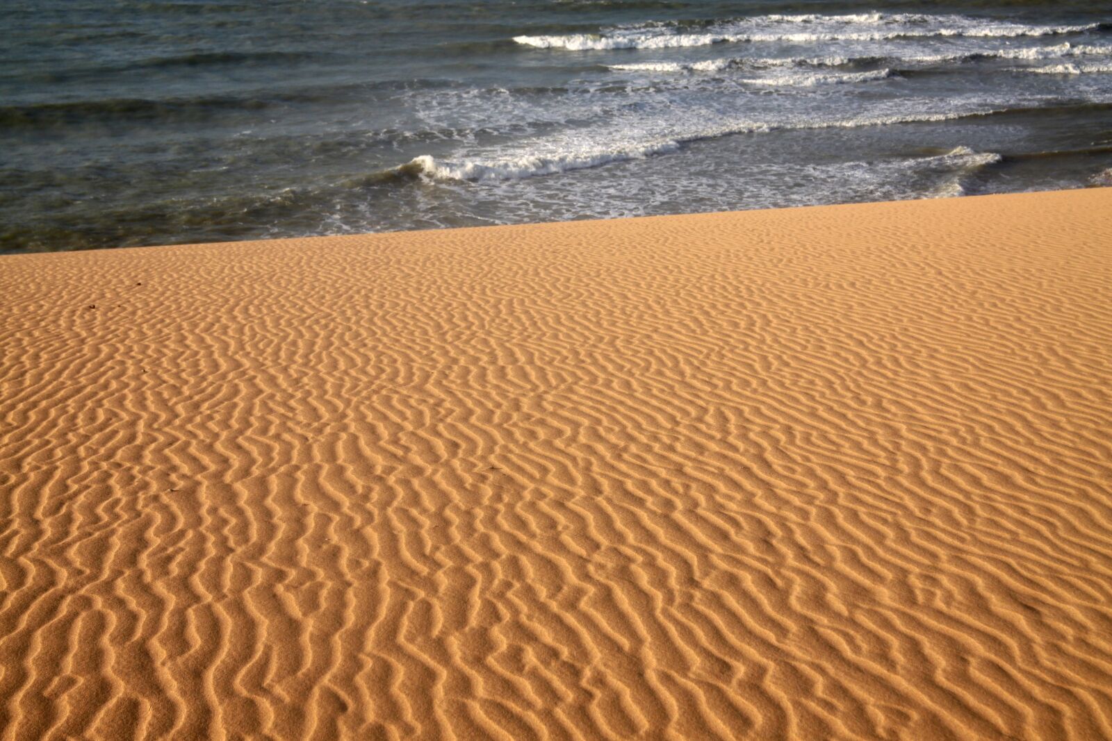 Canon EOS 50D sample photo. Desert, guajira, sand photography