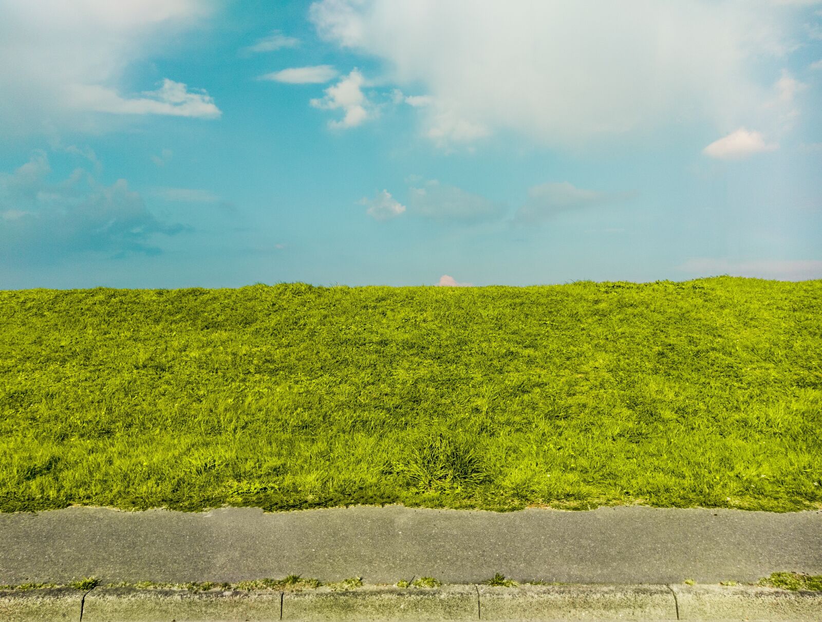 Canon EOS 5D Mark IV sample photo. Sky, texture, green photography