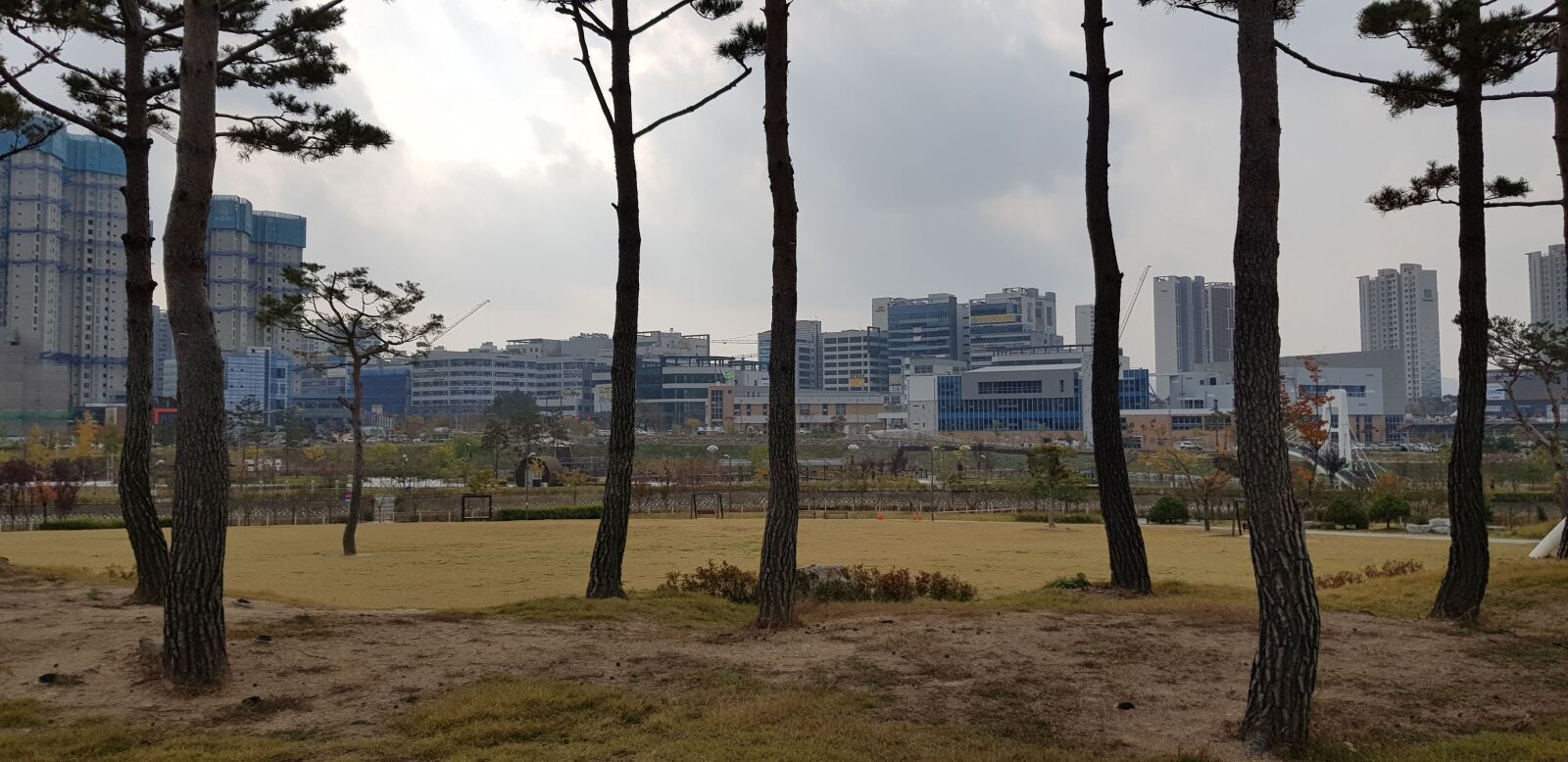 Samsung SM-N950N sample photo. City, forest, park photography