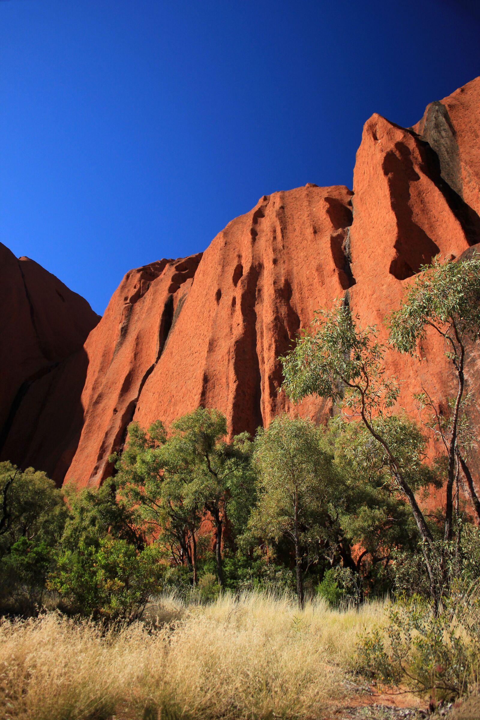 Canon EOS 550D (EOS Rebel T2i / EOS Kiss X4) sample photo. Outback, blue sky, red photography