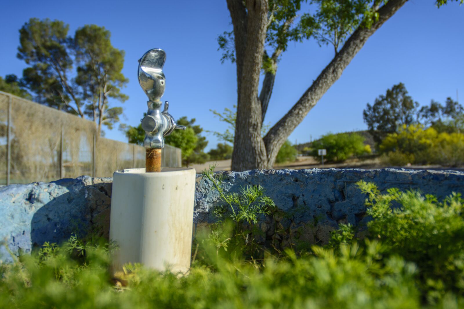 Nikon D5200 sample photo. Tucson, arizona, kennedy park photography