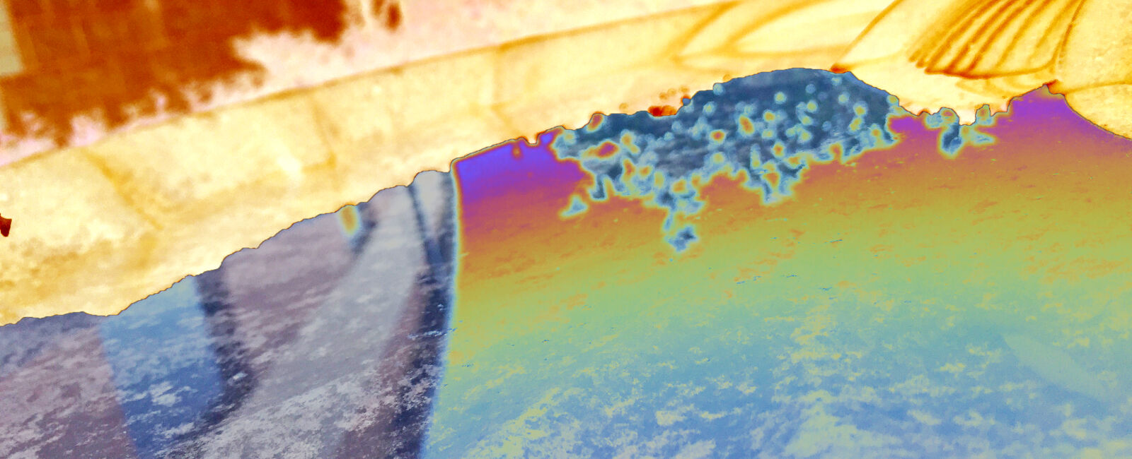 iPhone 6 back camera 4.15mm f/2.2 sample photo. Bird, bird, bath, concrete photography