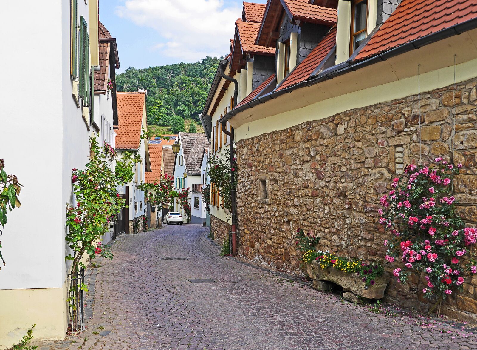 Panasonic Lumix DMC-GH3 sample photo. Palatinate, in the wine-growing photography
