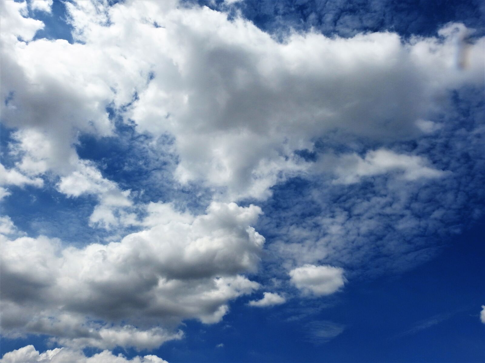 Nikon Coolpix P900 sample photo. Blue, blue sky, clouds photography