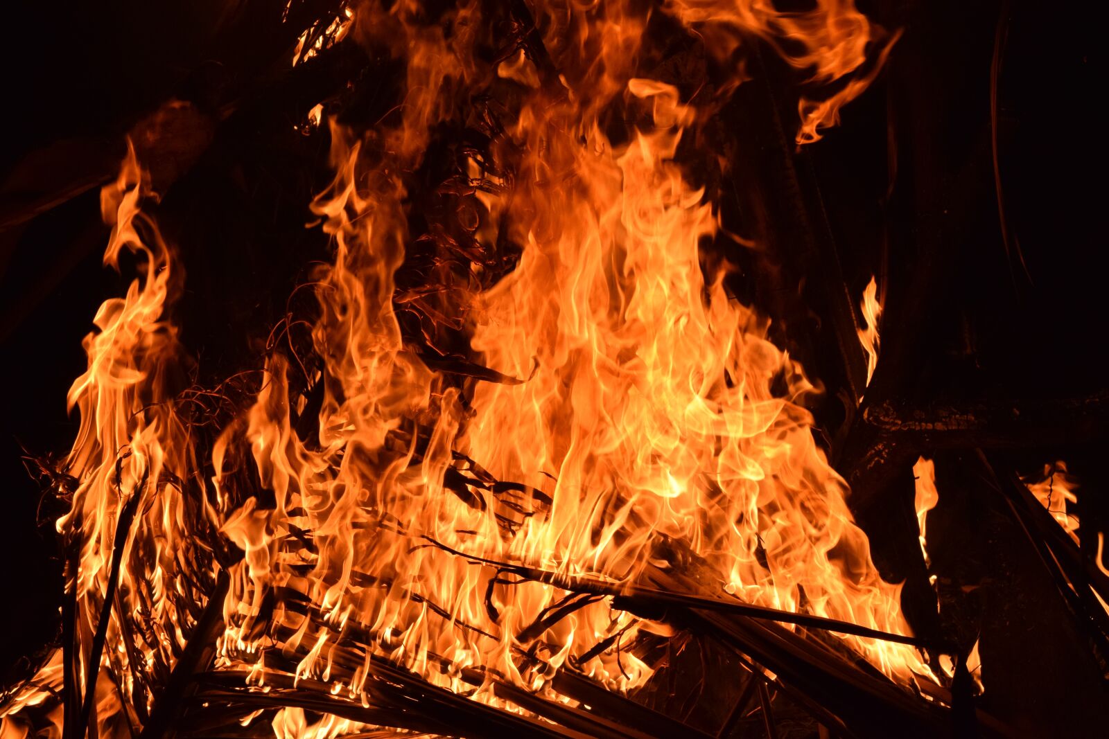 Nikon D5300 sample photo. Fire, heat, bonfire photography