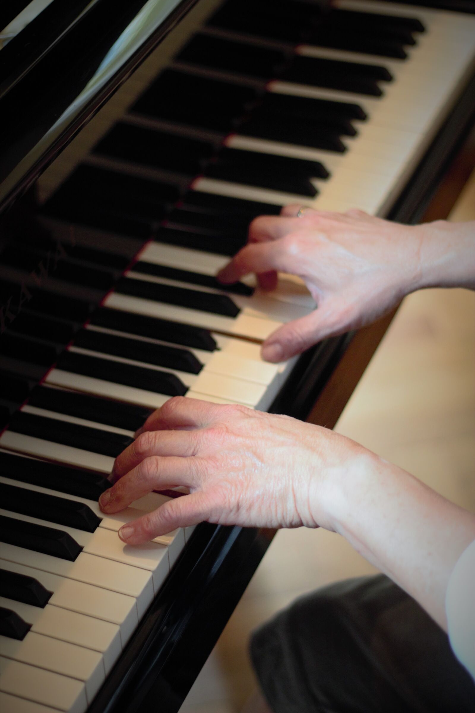 Canon EOS 600D (Rebel EOS T3i / EOS Kiss X5) sample photo. Piano, music, instrument photography