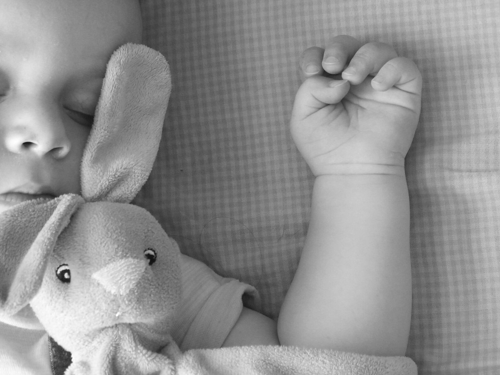 Canon PowerShot SX610 HS sample photo. Black white, baby, small photography