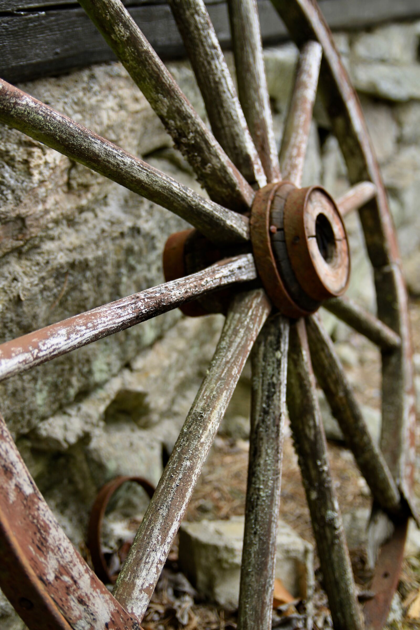 Canon EOS 7D sample photo. Wheels, rusty, the nature photography