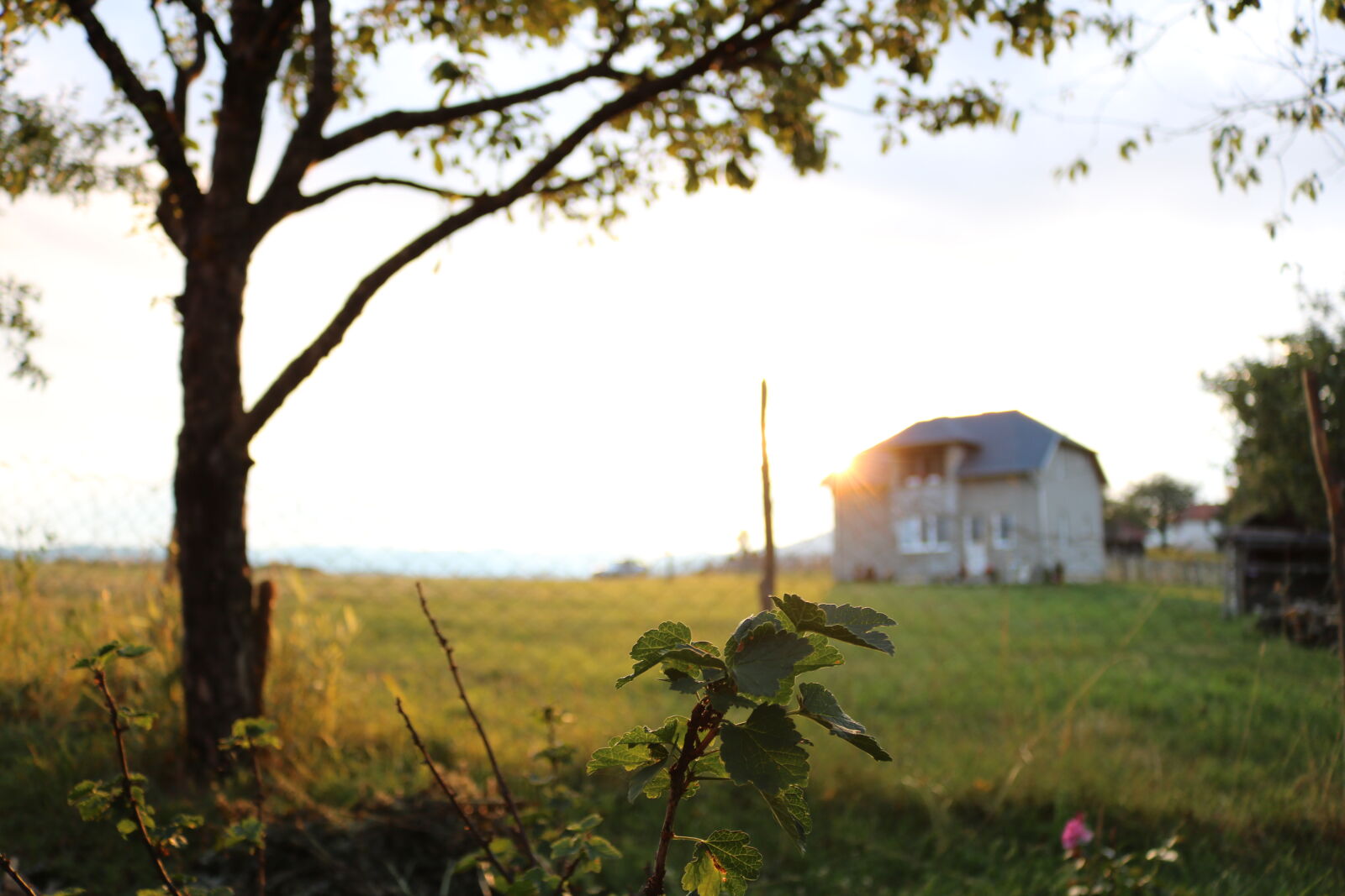 Canon EOS 750D (EOS Rebel T6i / EOS Kiss X8i) sample photo. Agriculture, countryside, cropland, dawn photography