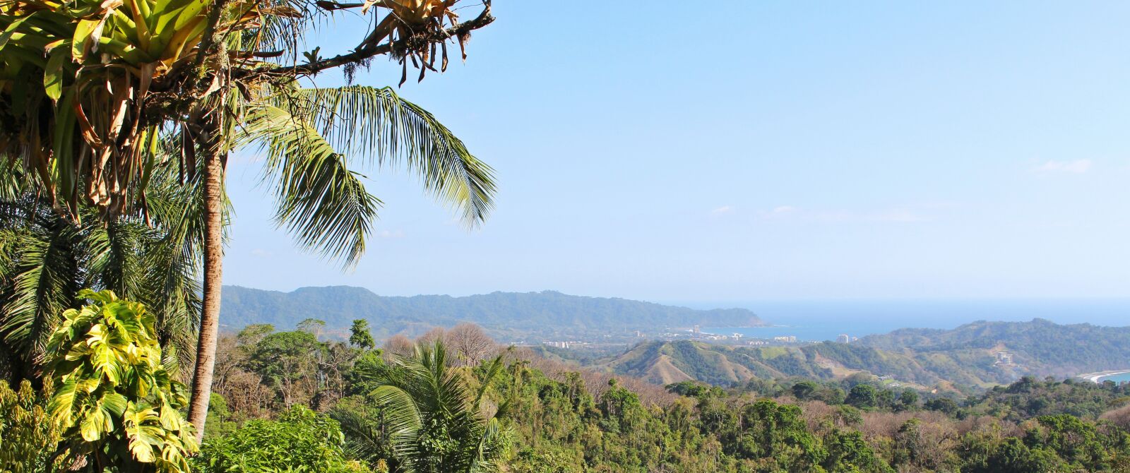 Canon EOS 700D (EOS Rebel T5i / EOS Kiss X7i) sample photo. Costa rica, tropical, jungle photography