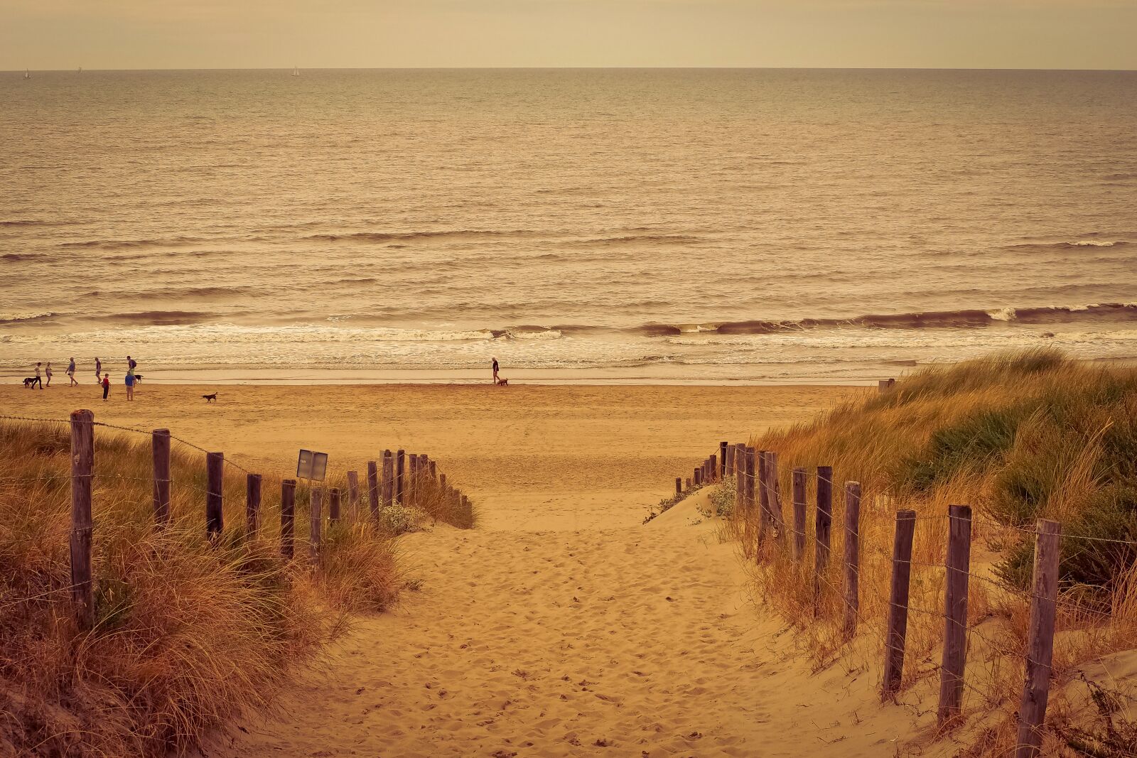Olympus OM-D E-M10 sample photo. Beach, sea, water photography