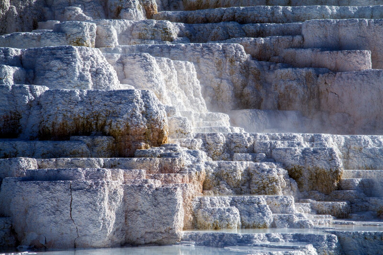 Canon EOS 7D sample photo. Yellowstone national park, wyoming photography