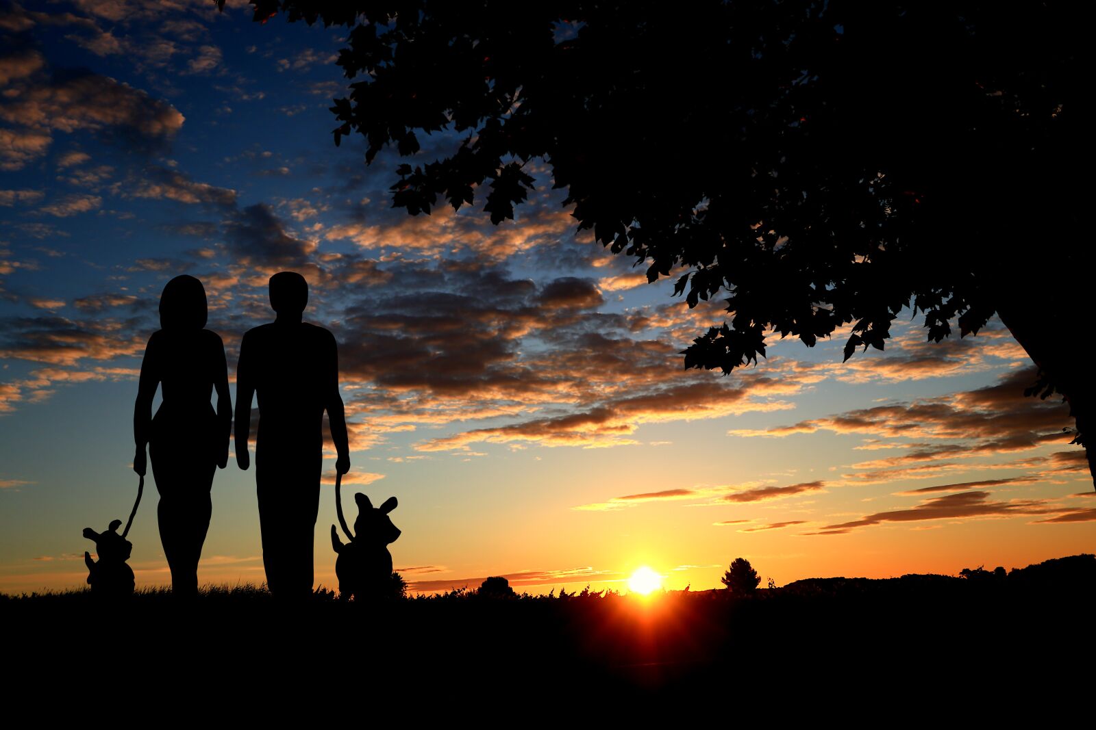 Canon PowerShot G1 X Mark III sample photo. Sunset, nature, couple photography