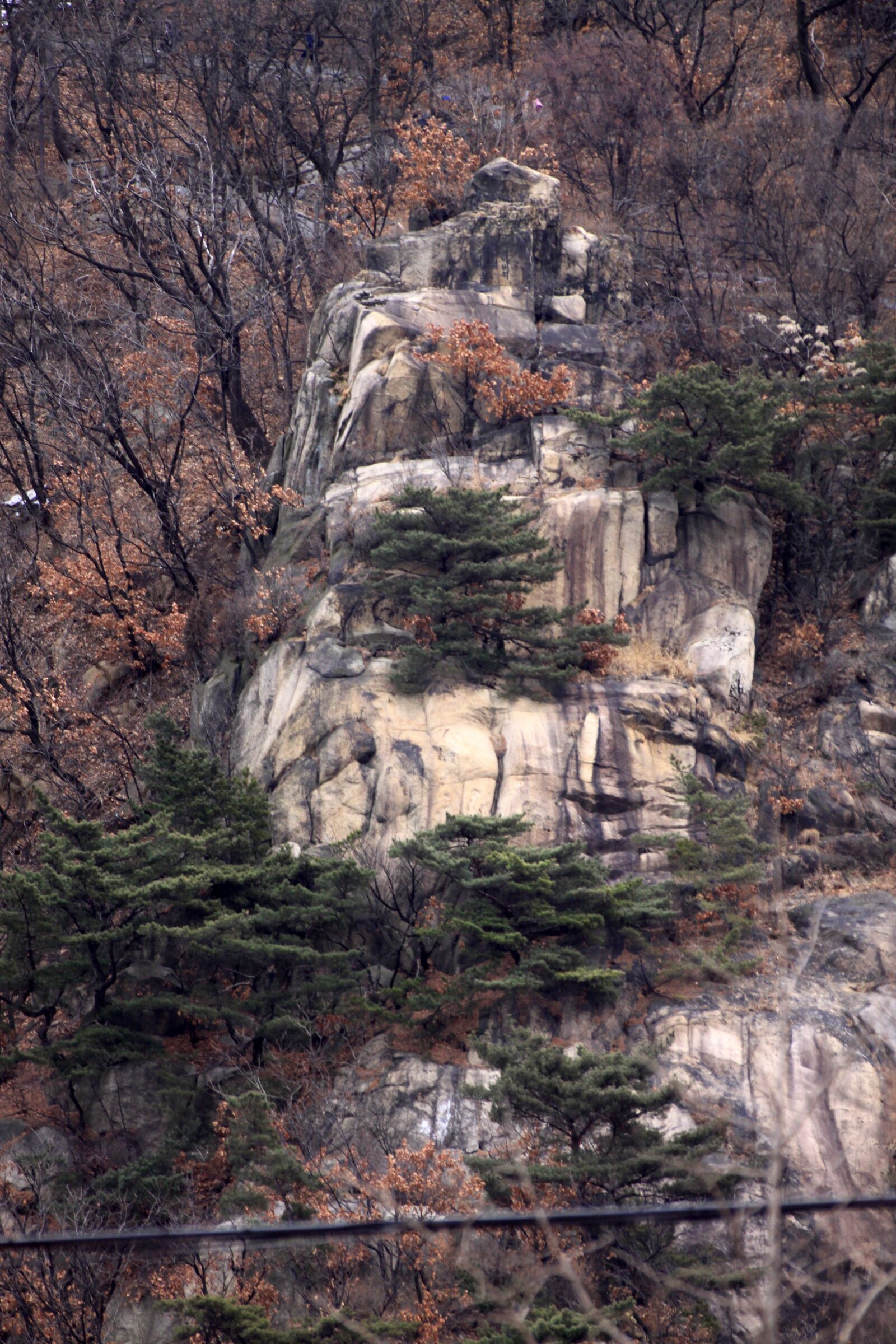 Canon EOS 50D sample photo. Mountain, rock, wood photography