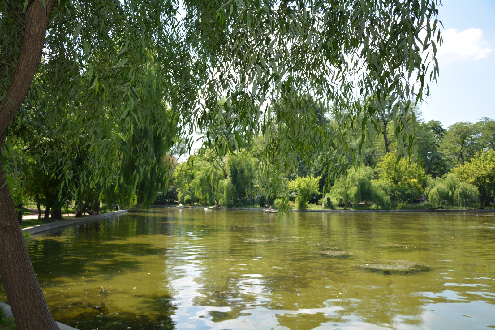 Nikon D7100 sample photo. Lake, nature, romania photography