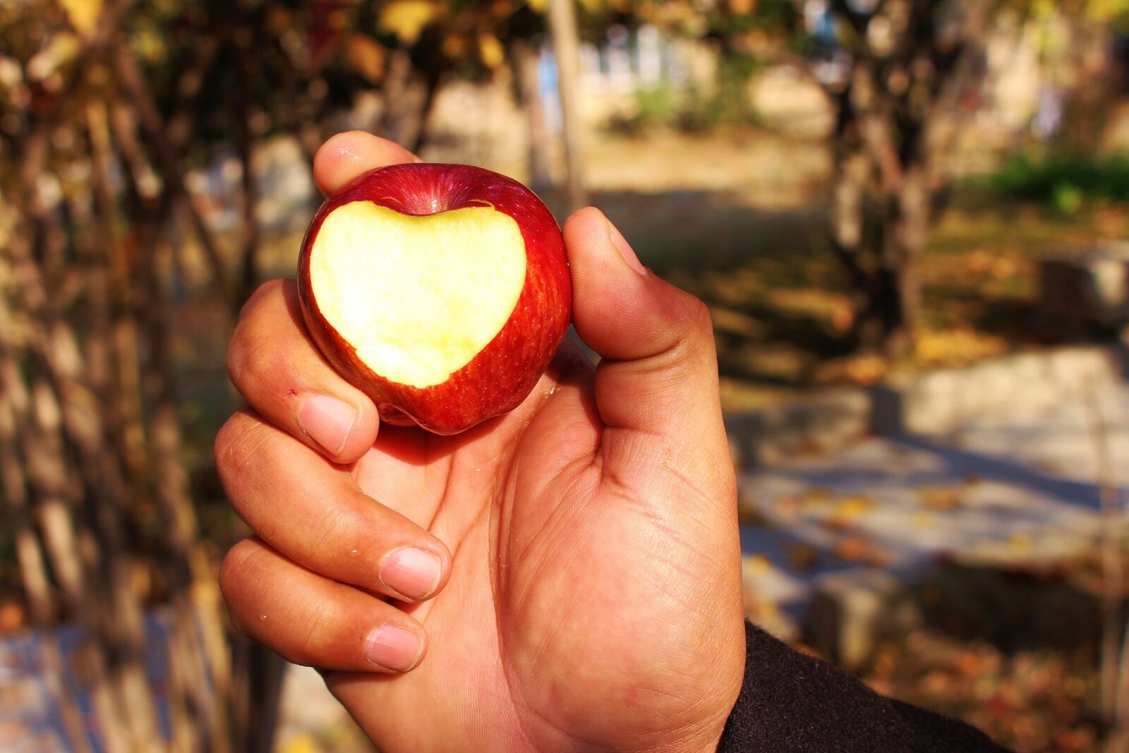 Canon EOS 700D (EOS Rebel T5i / EOS Kiss X7i) sample photo. Apple, heart, love photography