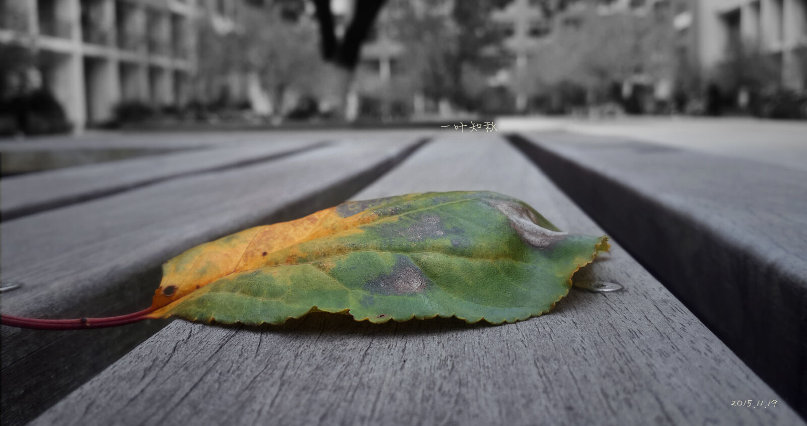 Samsung Galaxy S4 sample photo