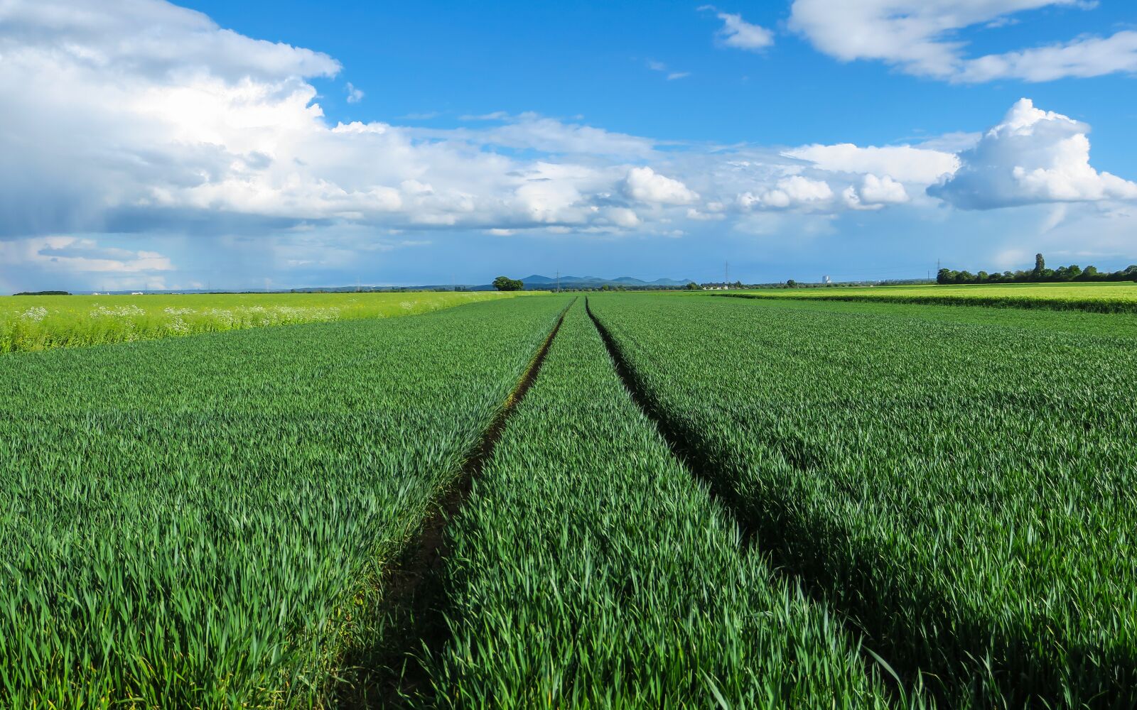 Canon PowerShot G3 X sample photo. Field, agriculture, trace photography