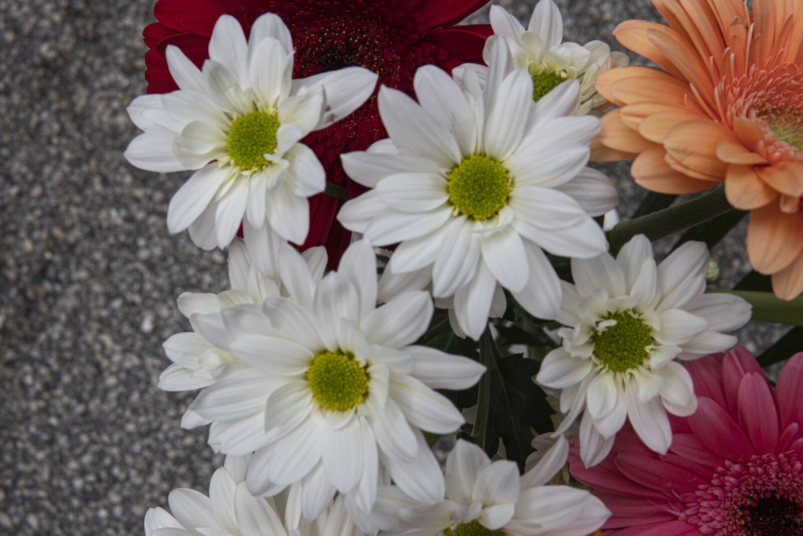 30mm F1.4 DC DN | Contemporary 016 sample photo. Flowers, bouquet, petals photography