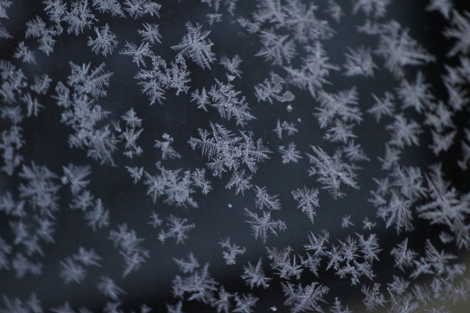 Canon EOS 100D (EOS Rebel SL1 / EOS Kiss X7) sample photo. Snow, snow crystals, winter photography