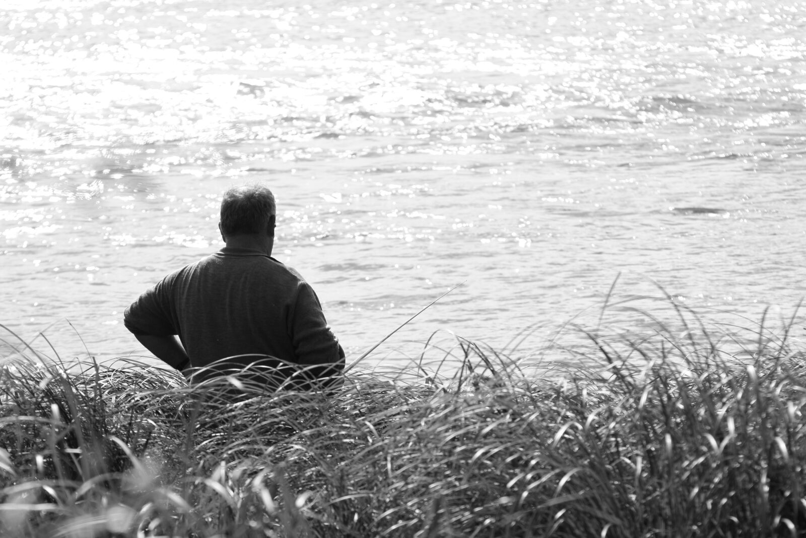Canon EOS 1000D (EOS Digital Rebel XS / EOS Kiss F) sample photo. Fishing, loire, river photography