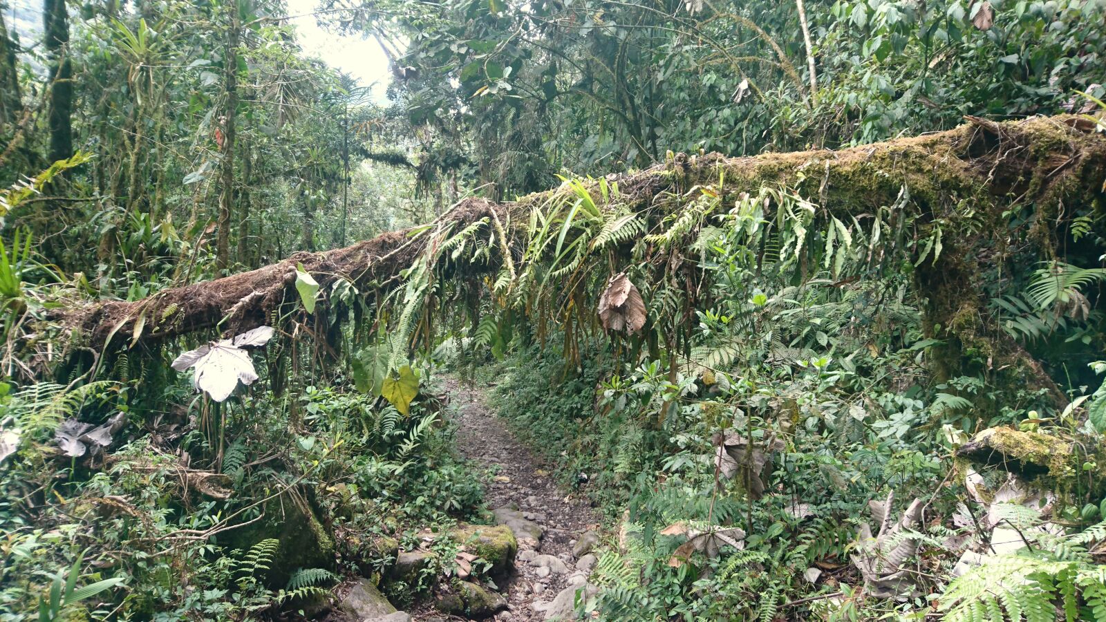 Sony Xperia Z5 Compact sample photo. Colombia, trekking, landscape photography