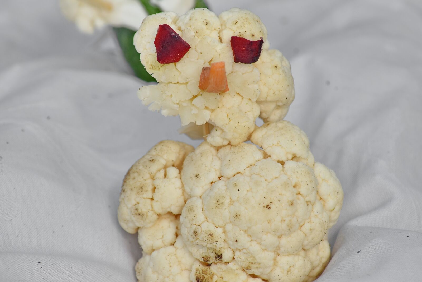 Nikon D5500 sample photo. Cauliflower, creativity, decoration, funny photography
