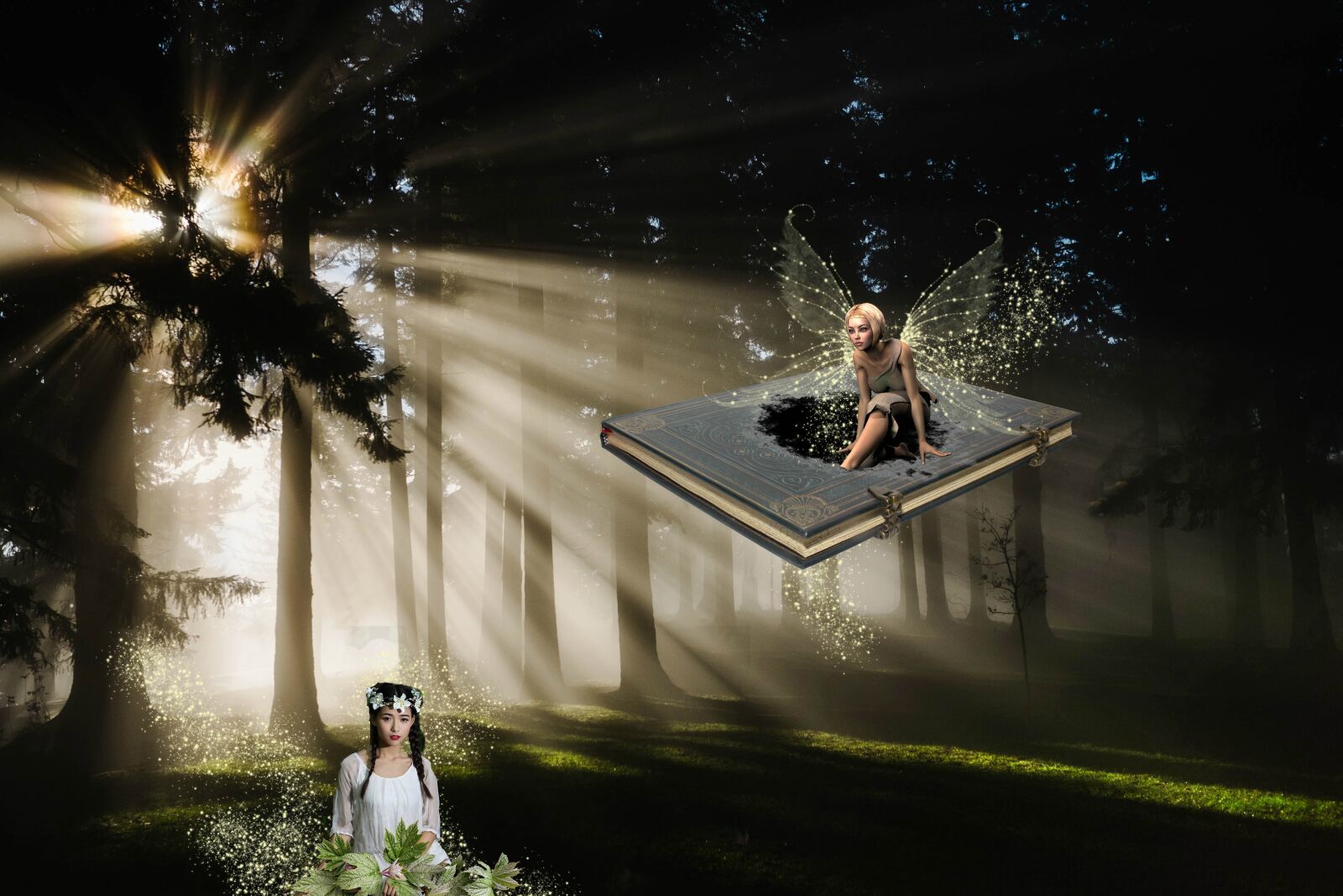 Fujifilm XF 23mm F1.4 R sample photo. Fantasy, forest, light photography